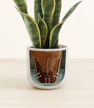 Load image into Gallery viewer, Hammered Ivory stand:all