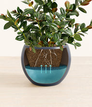 Load image into Gallery viewer, Deep Navy