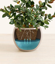 Load image into Gallery viewer, Desert Brown