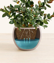 Load image into Gallery viewer, Winter Clouds