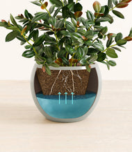 Load image into Gallery viewer, Deep Ocean