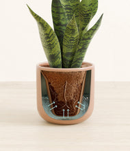 Load image into Gallery viewer, -