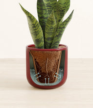 Load image into Gallery viewer, Striped Cherry Red stand:all