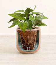 Load image into Gallery viewer, Hammered Peach Pink stand:all