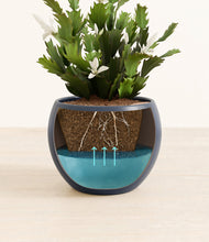 Load image into Gallery viewer, Deep Navy