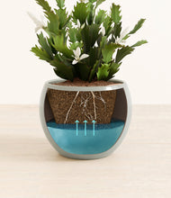 Load image into Gallery viewer, Deep Ocean