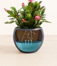 Load image into Gallery viewer, Deep Navy