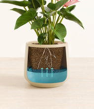 Load image into Gallery viewer, Almond Green stand:all