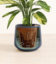 Load image into Gallery viewer, Deep Navy stand:all