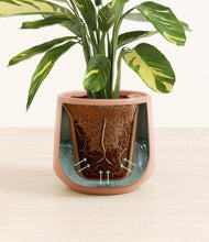 Load image into Gallery viewer, Calm Rose stand:all