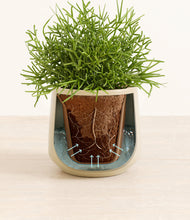 Load image into Gallery viewer, Almond Green stand:all