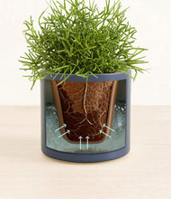 Load image into Gallery viewer, Deep Navy stand:all