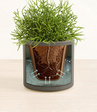 Load image into Gallery viewer, Dark Olive stand:all