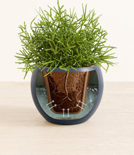 Load image into Gallery viewer, Deep Navy stand:all