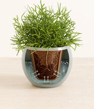 Load image into Gallery viewer, Deep Ocean stand:all