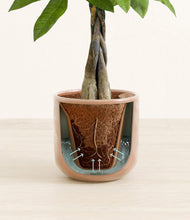 Load image into Gallery viewer, Hammered Peach Pink stand:all