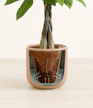 Load image into Gallery viewer, Striped Peach Pink stand:all
