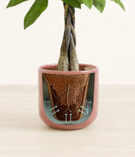 Load image into Gallery viewer, Hammered Rose Pink stand:all
