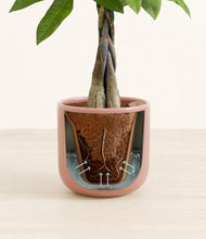 Load image into Gallery viewer, Striped Rose Pink stand:all