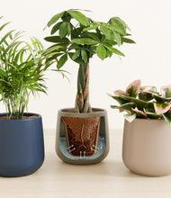 Load image into Gallery viewer, Winding River stand:all