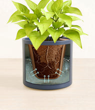 Load image into Gallery viewer, Deep Navy stand:all