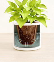 Load image into Gallery viewer, White stand:all