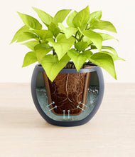 Load image into Gallery viewer, Deep Navy stand:all