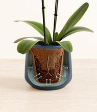 Load image into Gallery viewer, Deep Navy