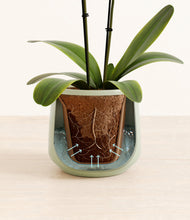 Load image into Gallery viewer, Turquoise