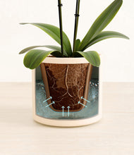 Load image into Gallery viewer, Cream