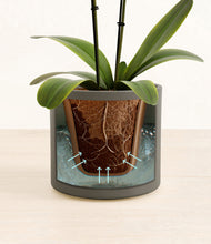 Load image into Gallery viewer, Dark Olive