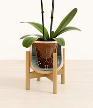 Load image into Gallery viewer, Gentle Pink stand:bamboo