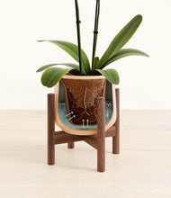 Load image into Gallery viewer, Gentle Pink stand:walnut