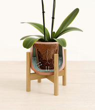 Load image into Gallery viewer, Calm Rose stand:bamboo