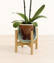 Load image into Gallery viewer, Turquoise stand:bamboo