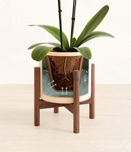 Load image into Gallery viewer, Cream stand:walnut