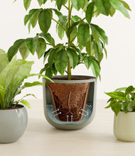 Load image into Gallery viewer, Earthy stand:all