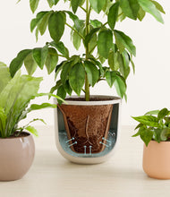 Load image into Gallery viewer, Sandy stand:all