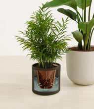 Load image into Gallery viewer, Orca stand:all