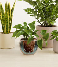 Load image into Gallery viewer, Sandy stand:all