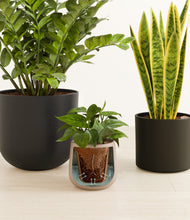 Load image into Gallery viewer, Charcoal stand:all