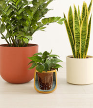 Load image into Gallery viewer, Evening Sky stand:all