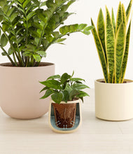 Load image into Gallery viewer, Sandy stand:all