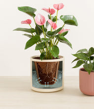 Load image into Gallery viewer, Rose Linen stand:all