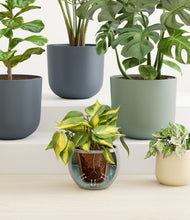 Load image into Gallery viewer, Earthy stand:all