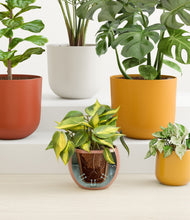 Load image into Gallery viewer, Evening Sky stand:all