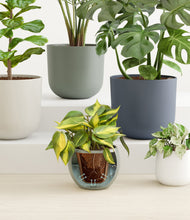 Load image into Gallery viewer, Soft Stone stand:all