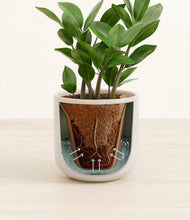 Load image into Gallery viewer, Snowdrift White stand:all