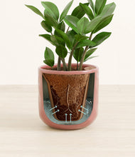 Load image into Gallery viewer, Hammered Rose Pink stand:all