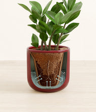 Load image into Gallery viewer, Striped Cherry Red stand:all